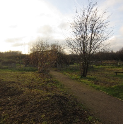 lea bridge
