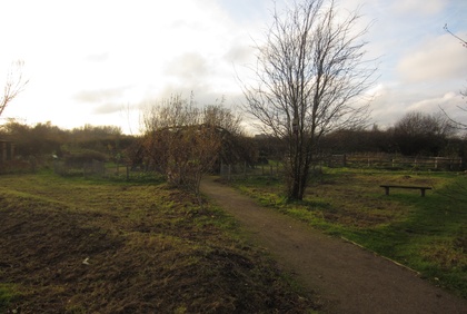 lea bridge