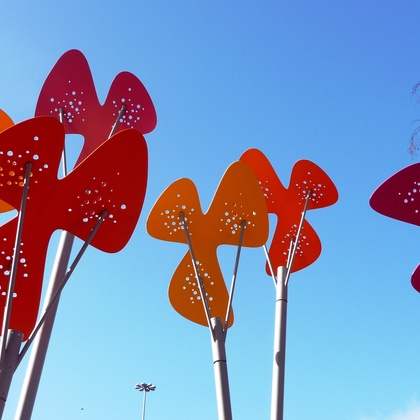 phoenix flowers