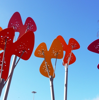 phoenix flowers