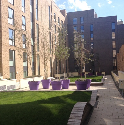 sharedspace