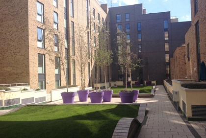 sharedspace